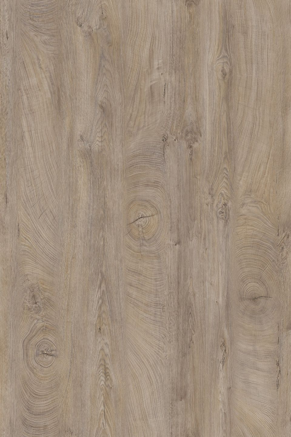 Sprela Arbeitsplatte 

Raw Endgrain Oak K105 FP 

4100x635x38 mm 

