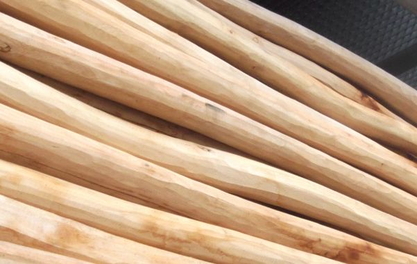 Palisaden Robinie, naturrund, entsplintet, 

geschliffen, Mitten-Durchmesser 10-14cm 

Länge: 5,00m

