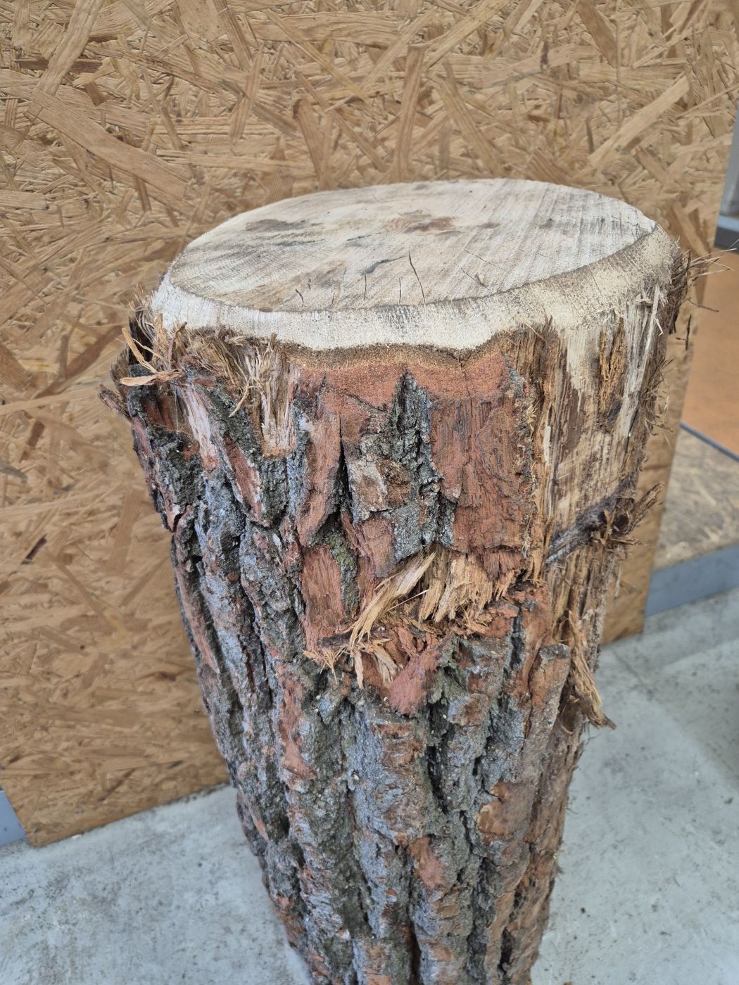 Hackklotz aus Eiche

