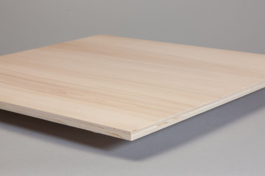 4mm Furnierplatte Pappel B/BB

2520x1720mm EN 314-2 Kl. 1

